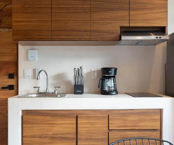 Modern 2br Penthouse Concierge Gated Community *